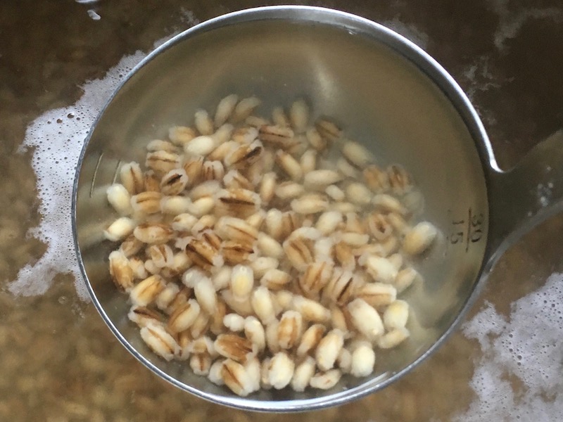 精米機で精麦した大麦（おおむぎ）をお湯にいれた直後