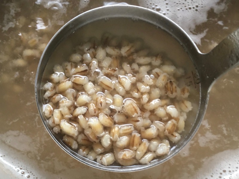 精米機で精麦した大麦（おおむぎ）を15分塩茹でしたところ