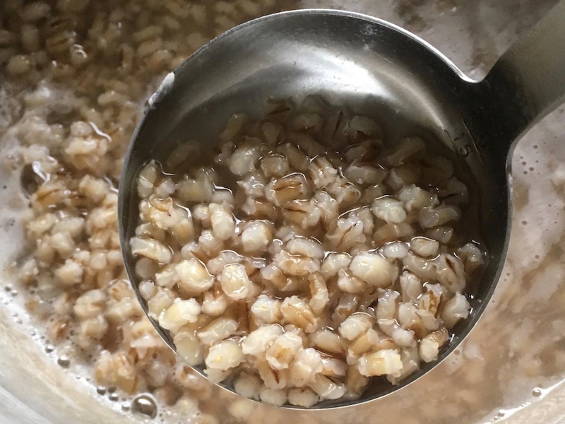 精米機で精麦した大麦（おおむぎ）を30分塩茹でしたところ