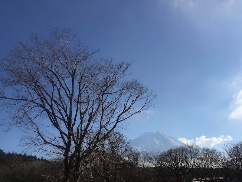 1月の朝霧ジャンボリーオートキャンプ場からみた午前中の富士山